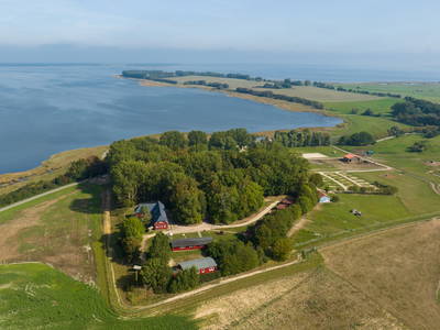 Bild 2 aus  Bernsteinreiter Barth