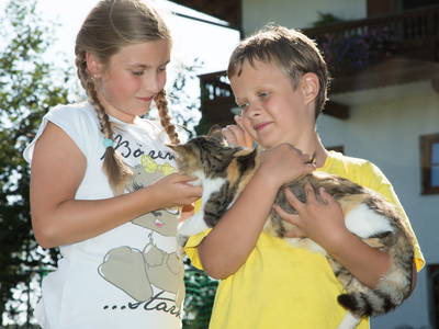 Bild 19 aus  Seimehof - Ihre Wohlfühloase am Chiemsee mit Herzlichkeit und Naturgenuss