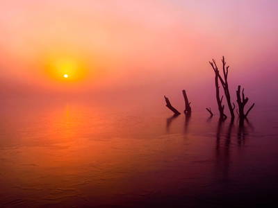 Nebel-Ferienhaus-Baumhaus-Wesertal-Auenlandschaft-Hohenrode-Foto: Kathy Büscher