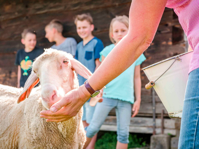 Bild 23 aus  Panoramahof