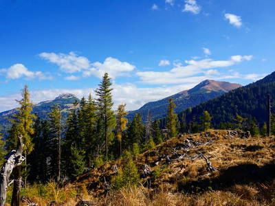 Bild 26 aus  Wastlhof  Urlaub auf dem Bauernhof