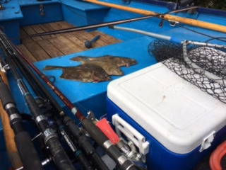 Plattfische - von Gästen geangelt.