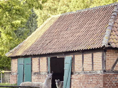 Bild 16 aus  LandSelection Ferienhof Friedrichsthal