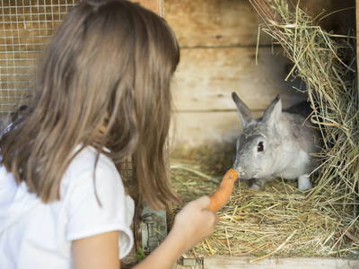 Bild 6 aus  Landhof - Familie Mairhofer