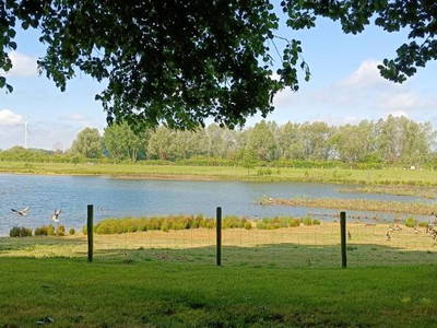 Bild 23 aus  Coproyshof am See