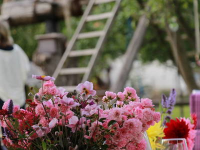 Bild 25 aus  Pension Baarblick