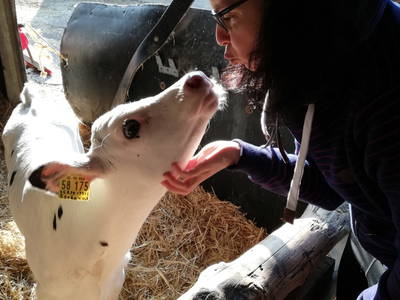 Bild 34 aus  Marienhof