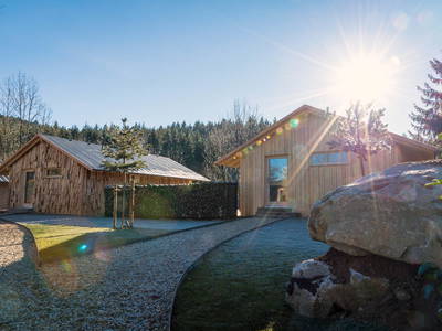 Bild 10 aus  Forstgut