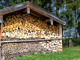 Bild 31 aus  Meisterhof