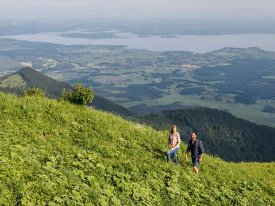 Bild 31 aus  Moierhof Gstadt am Chiemsee