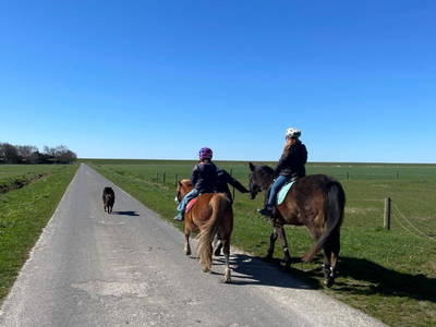 Ponyreiten im Neufelderkoog