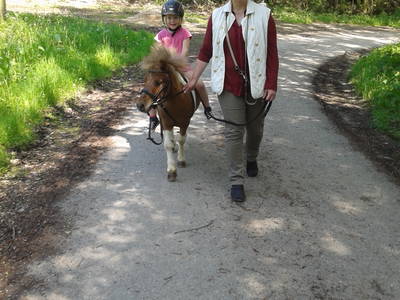 Bild 7 aus  Ferienhof Pulte