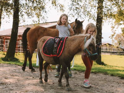 Bild 13 aus  Birkenhof - Ferienhof, Landcafé & Rösterei