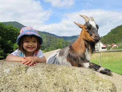 Bild 2 aus  Schingerhof