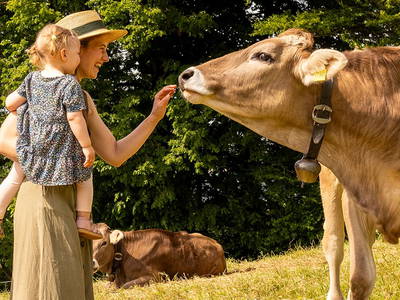 Rinder auf der Weide - Ferienhof Sinz - Bild: Julie Baaske www.whiite.space