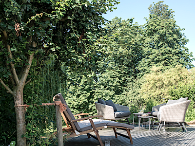 Bild 9 aus  Hof Sand