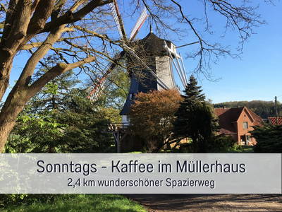 Bild 38 aus  Meine Schule Sehlingen