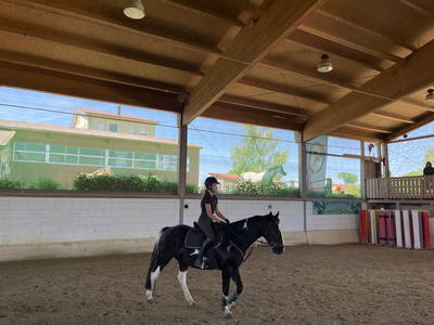 Bild 40 aus  Reitschule Fuchsenhof FN