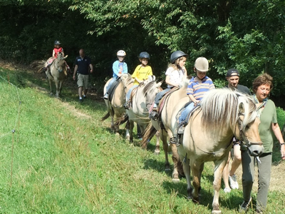 Bild 7 aus  Ferienhof Käsrah