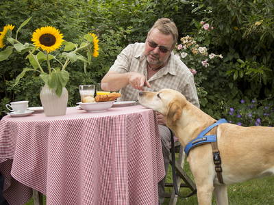 Bild 28 aus  Ferienhof Gröne