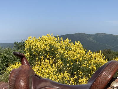 Bild 65 aus  Casa Bivignano