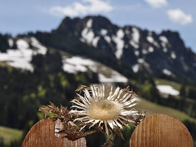 Bild 10 aus  Landhaus Wildschütz