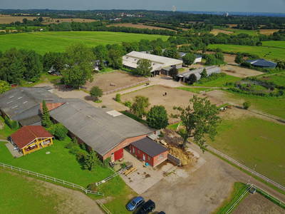 Bild 59 aus  Gestüt Hof am See