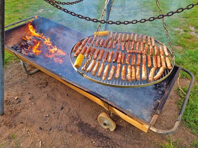 Bild 24 aus  Ferienhof Birnbaum