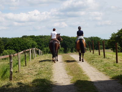 Bild 39 aus  Gut Friederikenhof