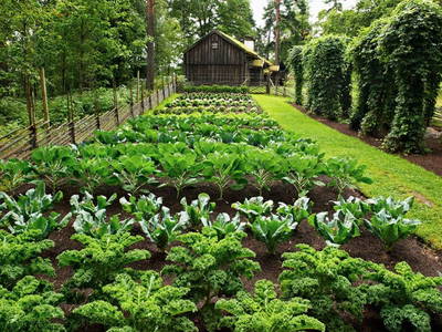 Bild 31 aus  Gästehaus Maria Rast