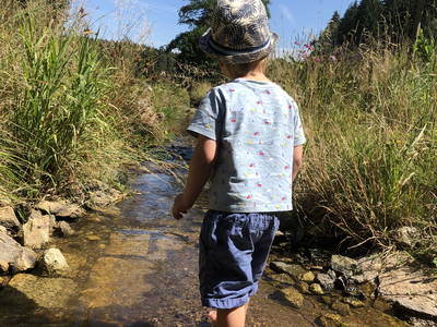 Bild 12 aus  Schelterhof