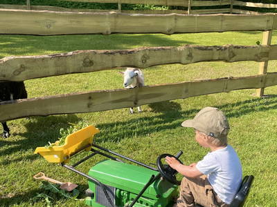 Bild 6 aus  Ferienhof Karin Schwarz