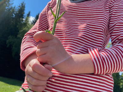 Bild 38 aus  Alte Försterei Wildenthal in Eibenstock - Erzgebirge