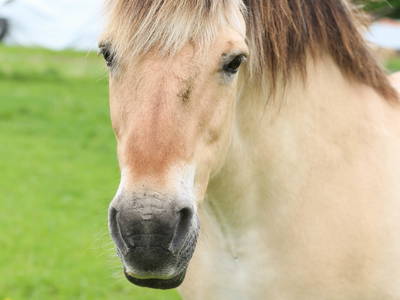 Bild 8 aus  Ferienhof Wichmann