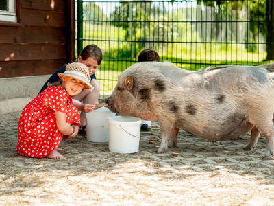 Bild 36 aus  LandSelection Grieshof