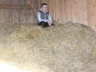 Bild 28 aus  Woferlhof