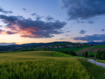 Bild 41 aus  Arber Lofts