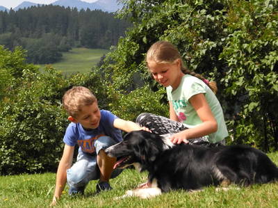 Bild 16 aus  Steinerhof