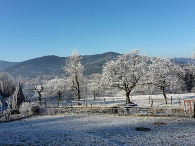 Bild 12 aus  Ferienhof Erdrich  - Ihr Ferienhof  im Schwarzwald
