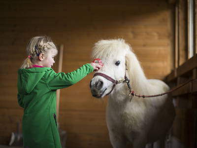 Bild 9 aus  Landhaus Schulte-Göbel