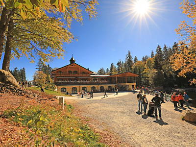 Bild 33 aus  Paulas Bauernhof im Bayerischen Wald