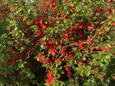 Bild 19 aus  Hollerhof-Oderbruch