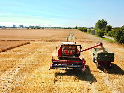 Bild 18 aus  Bauernhof Claussen Fehmarn