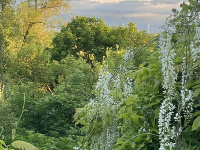 Bild 16 aus  Luminohof