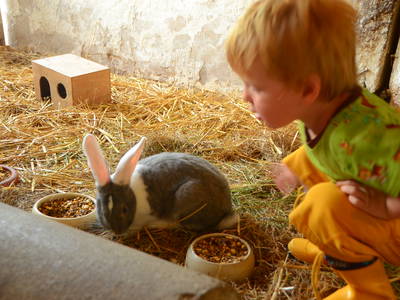 Bild 32 aus  Ostseeferienhof Tralau