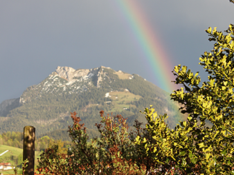 Bild 29 aus  Meisterhof