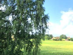 Bild 11 aus  Baretzerhof