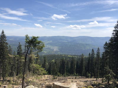 Bild 20 aus  Ferienhof Pauli