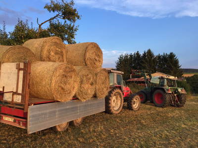 Bild 30 aus  Landgasthaus Hoffmann