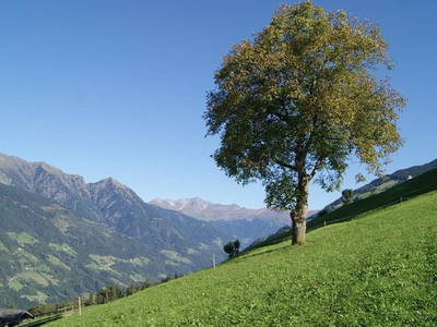 Bild 14 aus  Ederhof